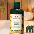 Load image into Gallery viewer, Ginger Anti-Dandruff Shampoo 250 ml