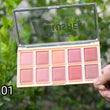 Load image into Gallery viewer, Final touch 10 colors blush