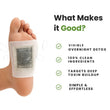 Load image into Gallery viewer, Kinoki™ Detox Patches | Restore Balance &amp; Wellness
