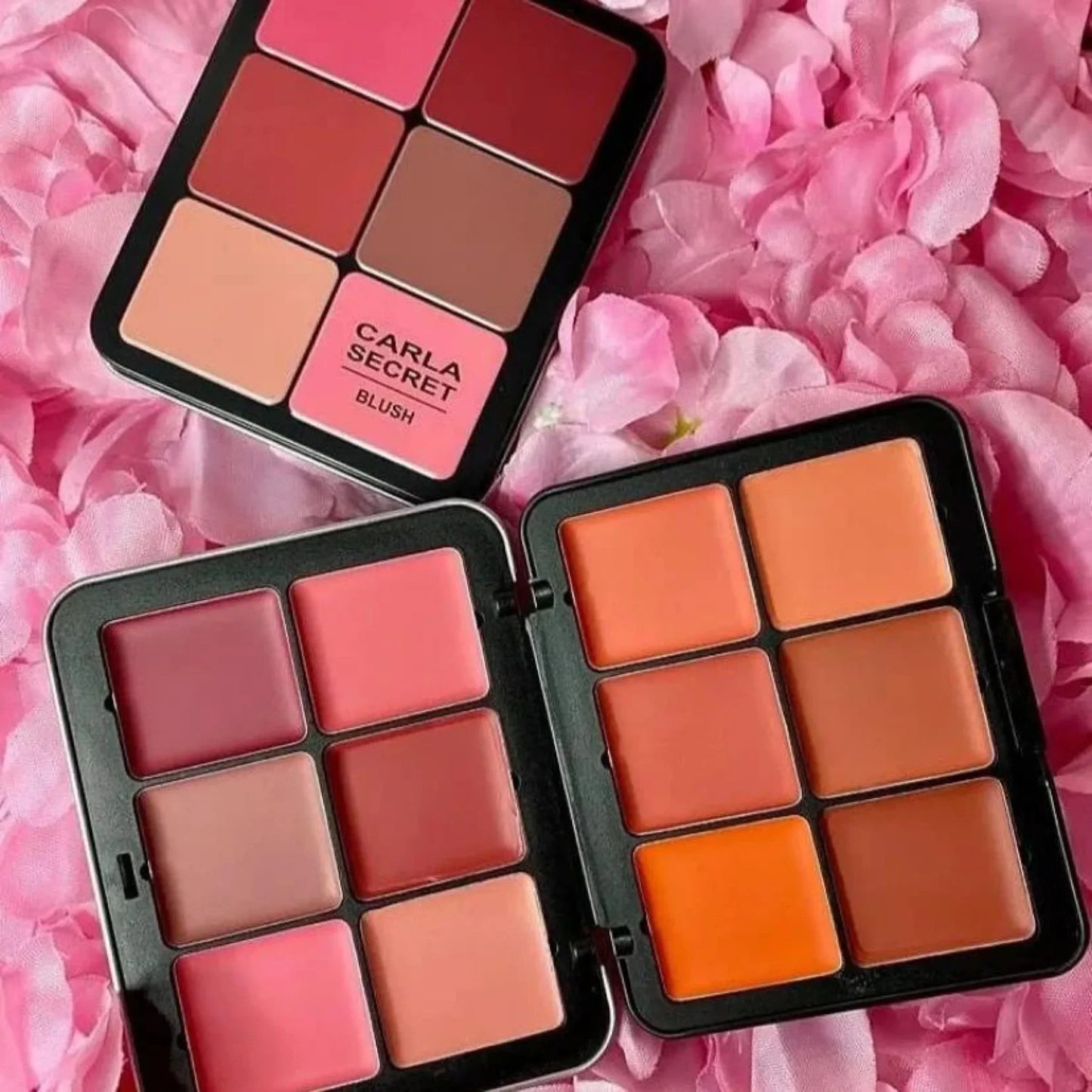 Carla secret blush palette