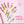 Load image into Gallery viewer, Hand cream pack of 5
